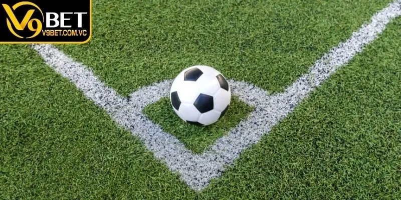 Nguyên tắc tính cơ bản