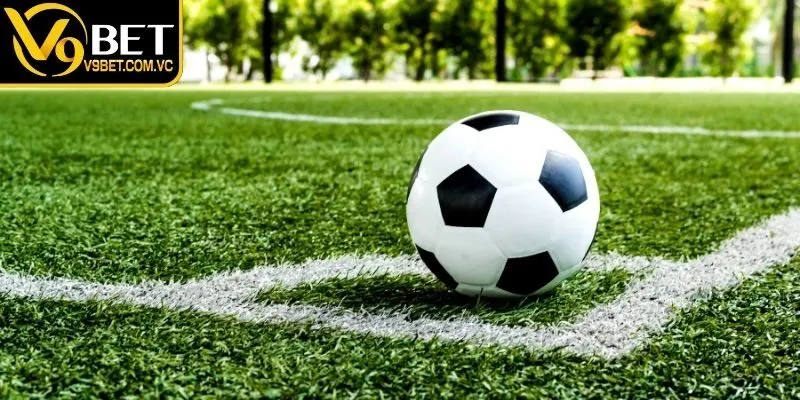 Theo dõi thống kê kèo phạt góc để nhận diện tần suất